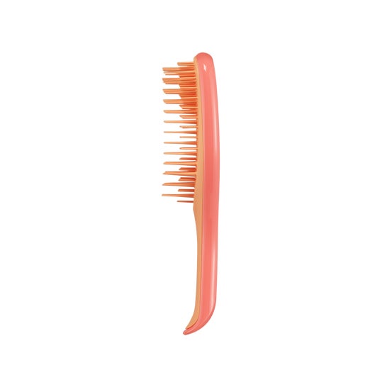 Tangle Teezer Detangler Mini Pink Orange