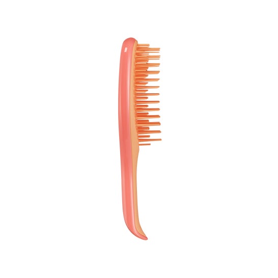 Tangle Teezer Detangler Mini Pink Orange