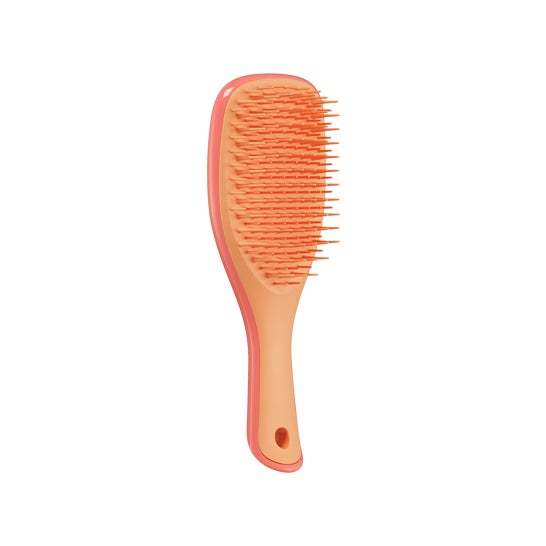 Tangle Teezer Detangler Mini Pink Orange
