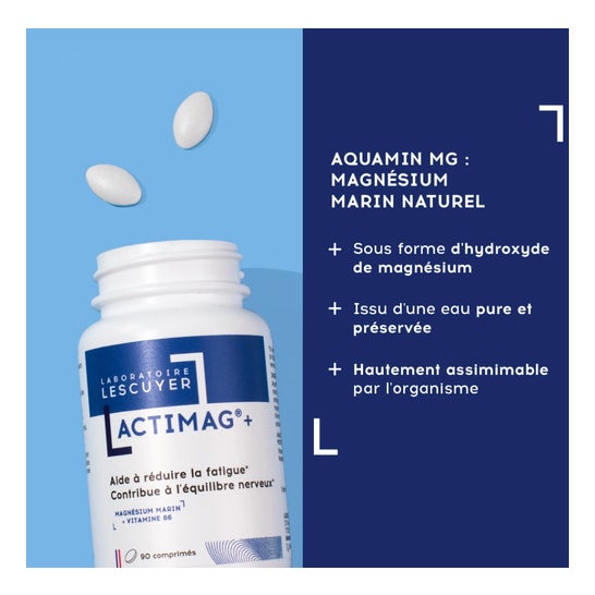 Lescuyer Actimag+ 90comp Lescuyer Actimag+ 90comp