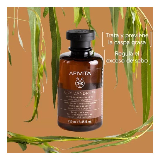 Apivita Shampoo Antiforfora per Capelli Grassi 250ml Apivita Shampoo Antiforfora per Capelli Grassi 250ml