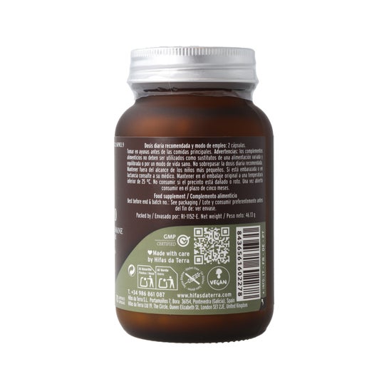 Hifas da Terra Mico-Leo Extracto de Melena de Leon 70 Perlas