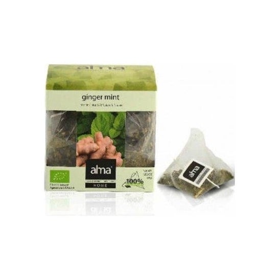 Alma Home Infusion Eco Ginger Mint 15 Sobres