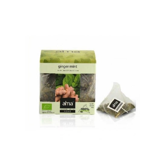 Alma Home Infusion Eco Gember Munt 15 Sobres
