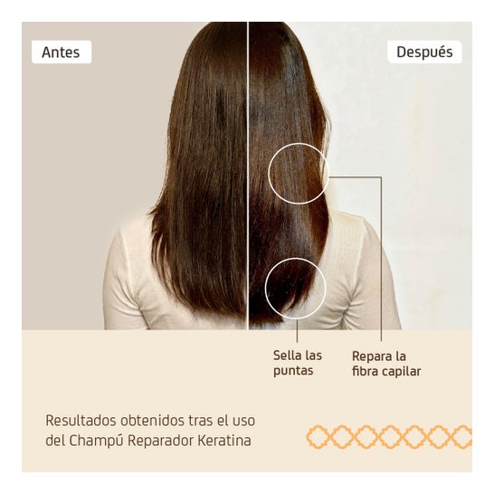 Nuggela & Sulé Champú Reparador Keratina 250 ml