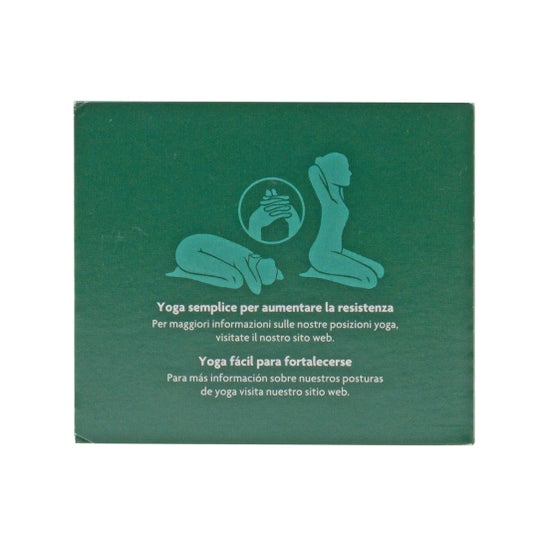 Yogi Tea Felicidad 17 borse
