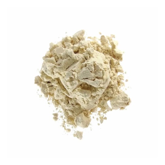 HSN Proteína de Soja Aislada 2.0's Manzana 500 g