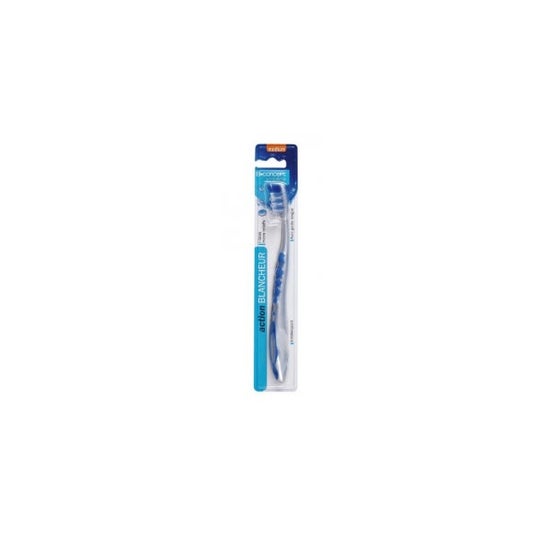 Bconcept Hygine Brush - Cepillo de dientes de acción blanqueadora mediana