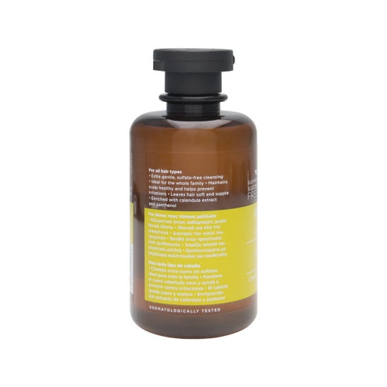 Apivita Daily Use Shampoo 250ml