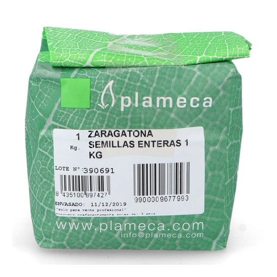 Plameca Zaragatona ganze Kerne 1kg