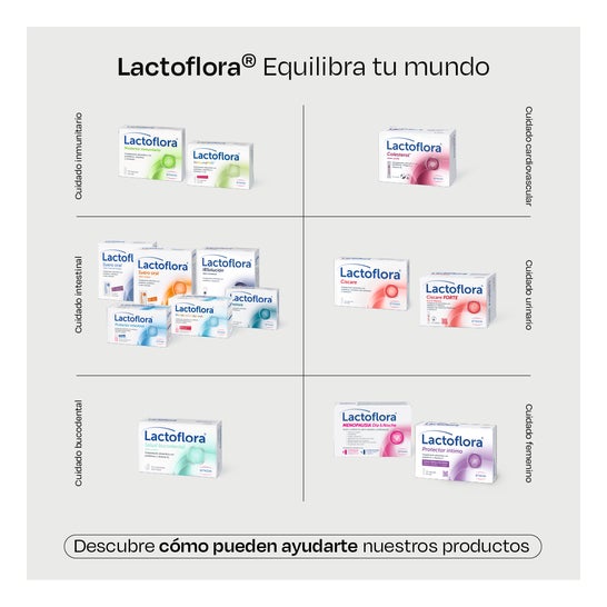 Lactoflora Adults10 Fiolki