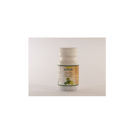 Sotya Alcachofera 100 comp