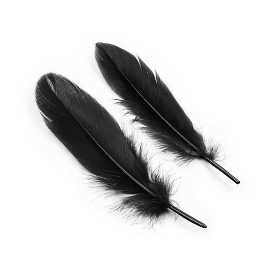 Crushious Kit Lover'S Dream Negro