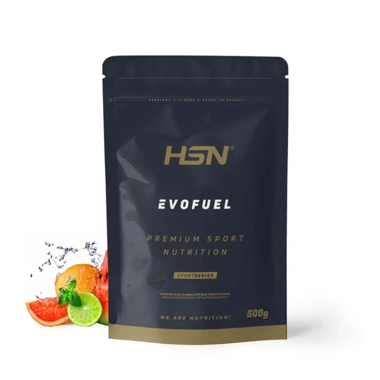 HSN Evofuel Ponche Frutas 500g