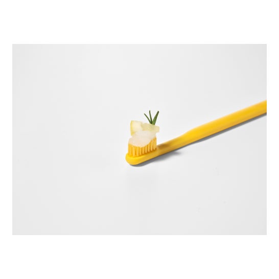 Toosty Lemon Sorbet Toothpaste 25 g