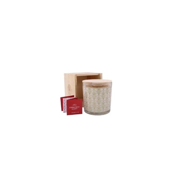 Cerabella Vela Vaso Xscent22 Moss Patchouli 1 ud