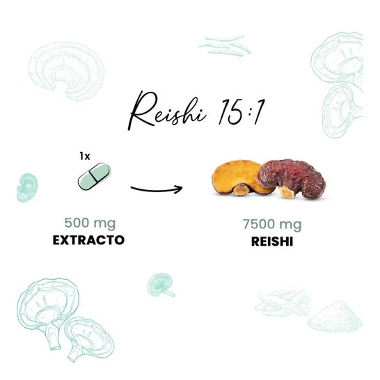 HSN Extracto de Reishi Complex 15:1 500 mg 120 vcaps