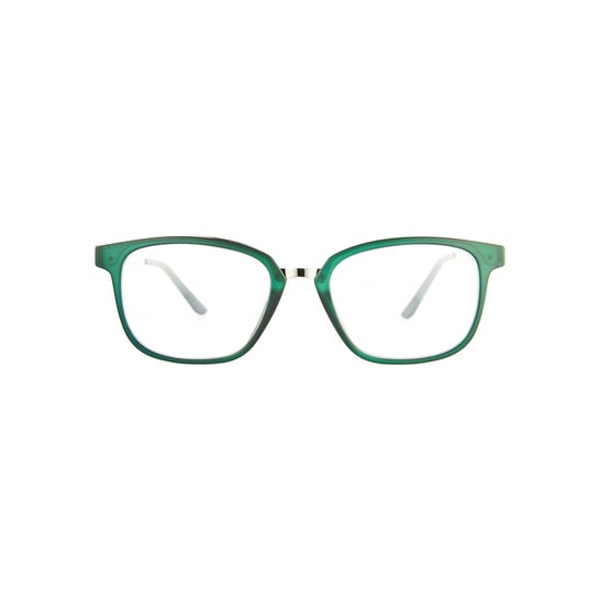 Nordic Vision Gafas de Lectura Alingsas +2.00 1ud