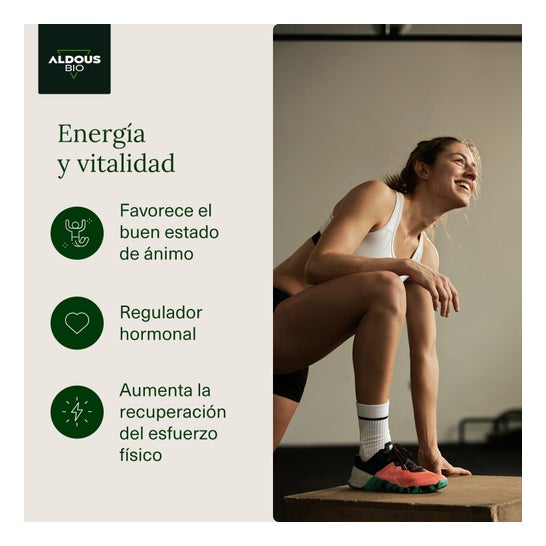 Aldous Labs Extracto De Maca Andina Ecológica Premium 300 Comp Aldous Labs,