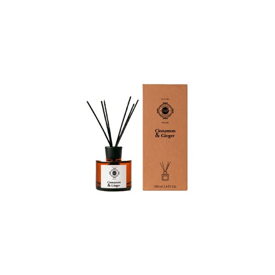 Iap Pharma Mikado Aroma Cannella Zenzero 100 ml