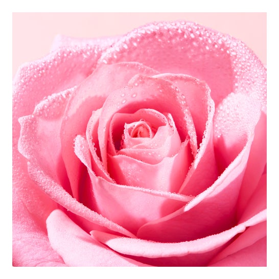 Nuxe Very Rose Espuma Suave Limpiadora 150ml