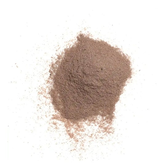 HSN Evomass 2.0 Ganador de Peso Chocolate y Avellanas 1000 g