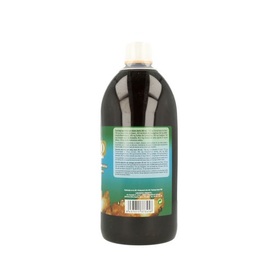 JellyBell Artrion Silicium Complex 1L