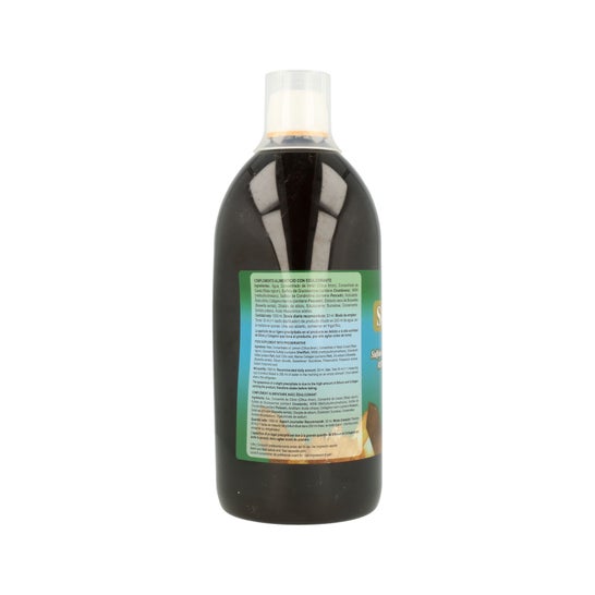 JellyBell Artrion Silicium Complex 1L