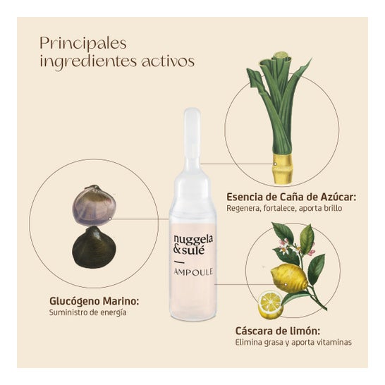 Nuggela & Sulé Ampollas Multivitamina-Energy 4x10 ml
