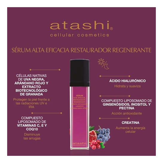 Atami Antioxidant Therapy Longévité regenerująca surowica 50ml Atami Antioxidant Therapy Longévité regenerująca surowica 50ml