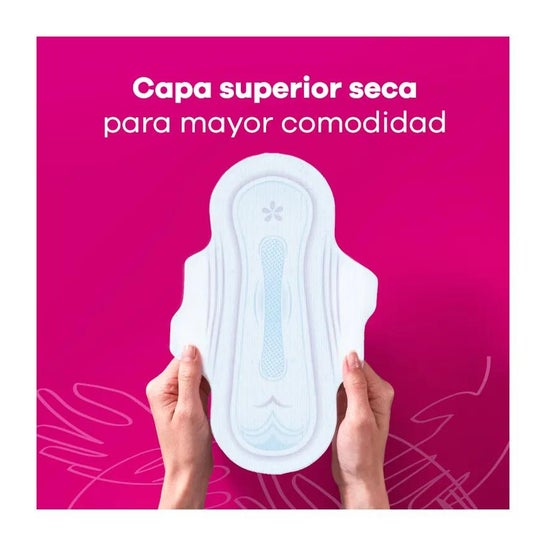 Ausonia Airdry notte ala compressore 9 pz Ausonia Airdry notte ala compressore 9 pz