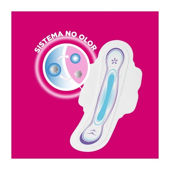 Ausonia Airdry notte ala compressore 9 pz Ausonia Airdry notte ala compressore 9 pz