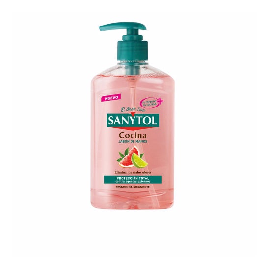 Sanytol Antibacterial Kitchen Hand Soap Dispenser 250ml