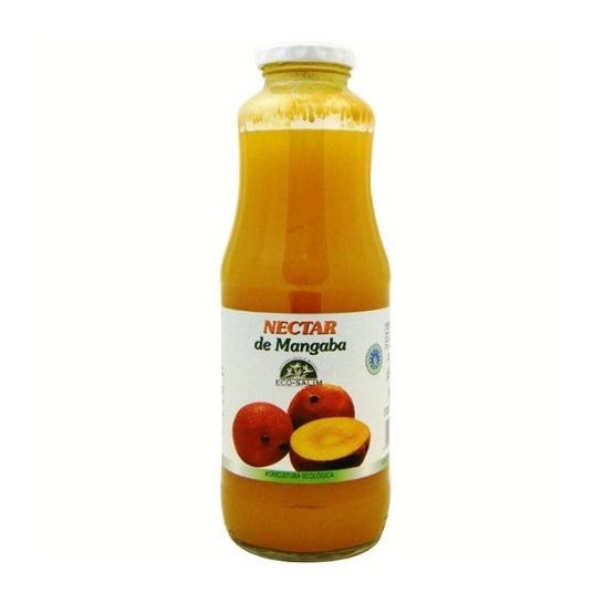 Int-Salim Mango Mangaba Juice Eco 1000ml