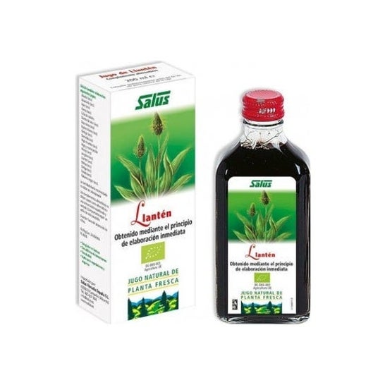 Salus Salullant Llanten Schleimlöser Sirup 250ml