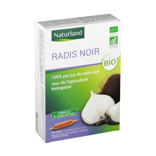 Naturland Radicchio nero Lampadine Organiche X20