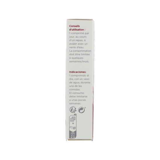 Inovance Zinc 60comp
