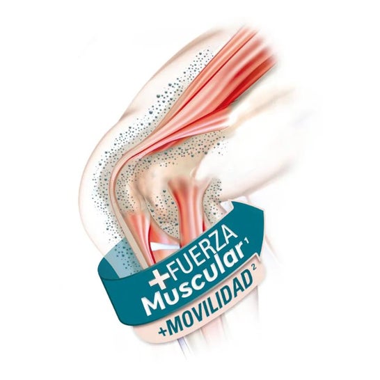 Epaplus Arthicare Músculos Colágeno Antiox Chocolate 504g Epaplus Arthicare Músculos Colágeno Antiox Chocolate 504g