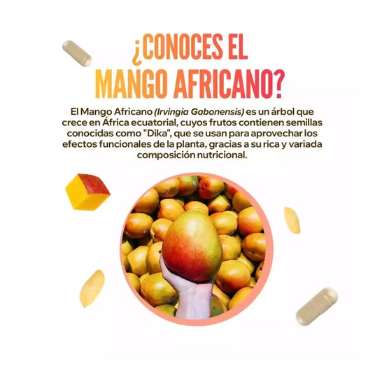 HSN Extracto de Mango Africano 10:1 400 mg 120 vcaps