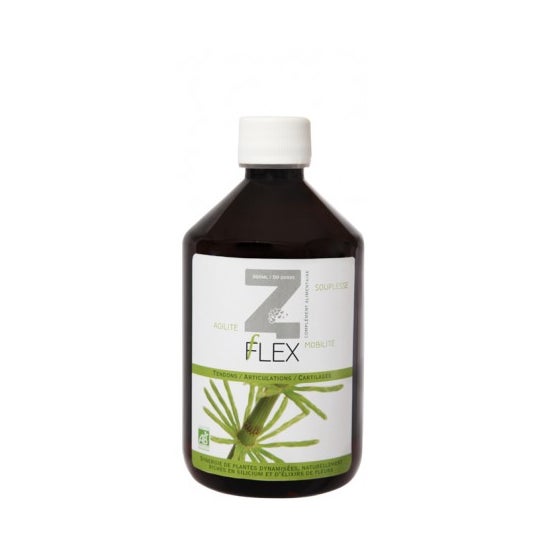 Mint-E Health Z-Flex Eco 500ml