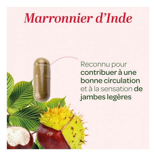 Superdiet Castaño de Indias Bio 120 Perlas Superdiet Castaño de Indias Bio 120 Perlas