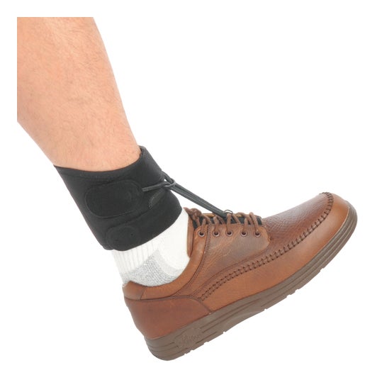 Orliman Antiequino Boxia 21-25 cm