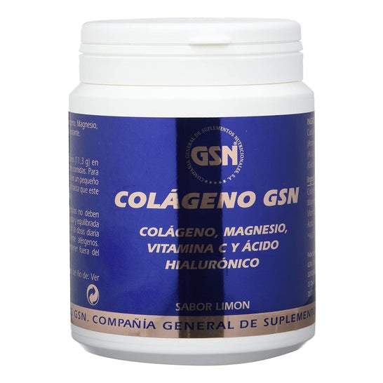 GSN Colageno Acido Hialuronico Limón Polvo 340g