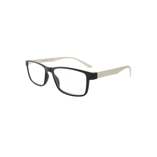 Nordic Vision Gafas Vastervik +3,00 1ud