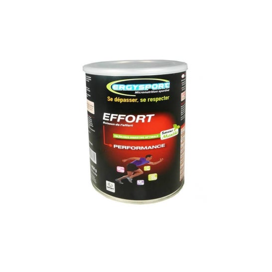 Ergysport Effort Mint 450G