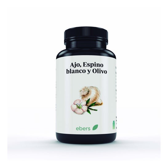 Ebers Knoblauch Weißdorn und Olive 60 Perlen