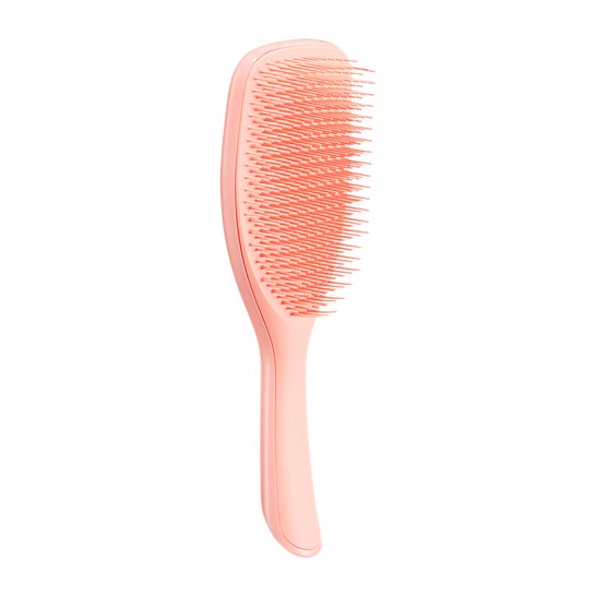Tangle Teezer Cepillo Large Wet 1ud
