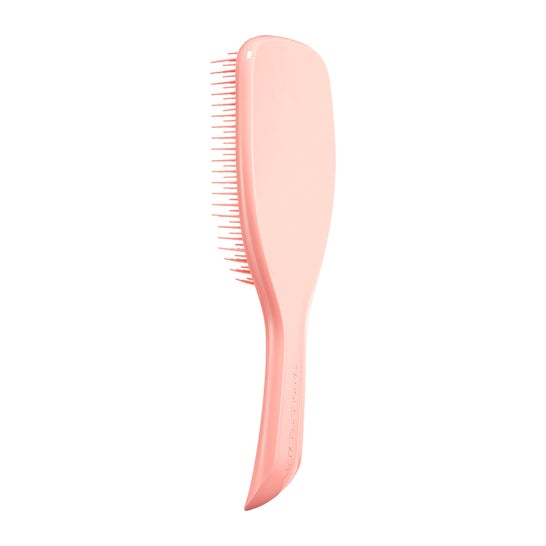 Tangle Teezer Cepillo Large Wet 1ud