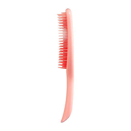 Tangle Teezer Cepillo Large Wet 1ud