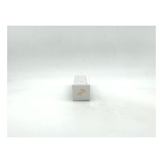 Cattier Secret Botanique Soin De Jour Nourrissant 50ml